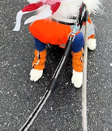 雨の日のお散歩へ
