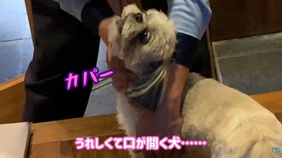 たっぷりナデナデしてくれました♡
