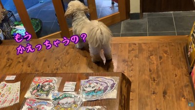 配達員さんが帰ると…
