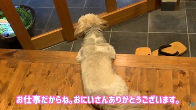 「また来ないかな？」と玄関で待機