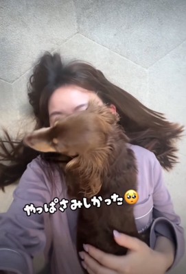 顔の上に乗る犬5