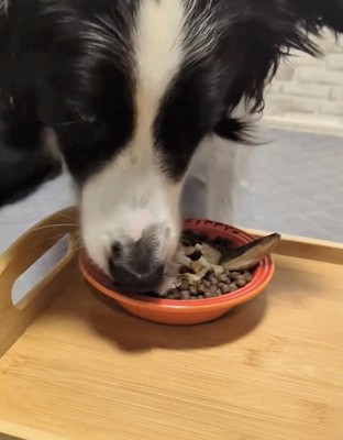 「んま…」