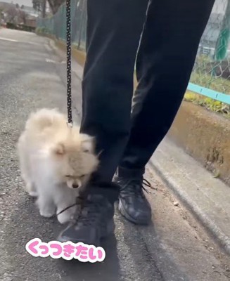 ずっとくっついて歩く♪