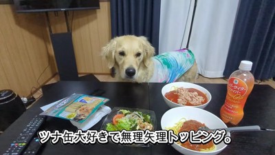 幸せいっぱいのティトちゃんでした