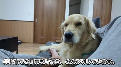 穏やかな休日も♪