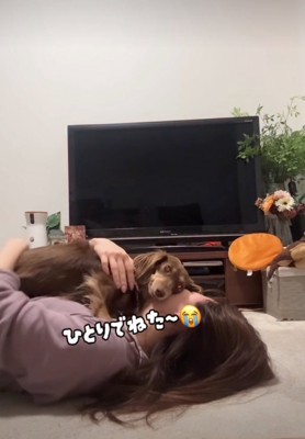 顔の上に乗る犬2