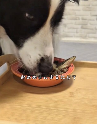 美味しさを目で語るジッピーくん