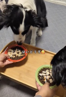 兄弟のジョリーくんと、いざ実食