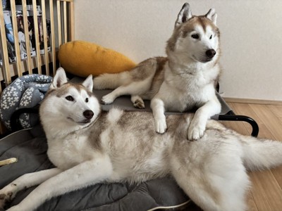 仲良し