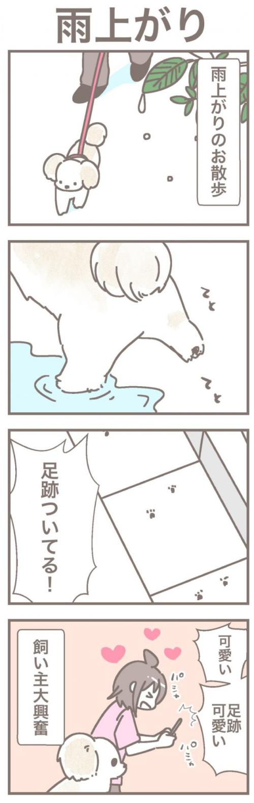 うちの王様にはどうしても抗えない【第362話】