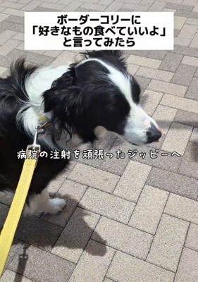 「何食べようかな…」