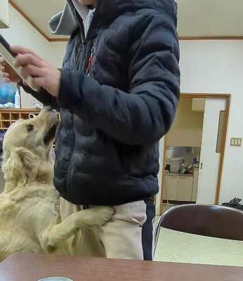 「採用!!採用!!」