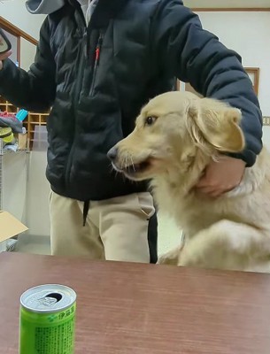 椅子を占拠したティトちゃん