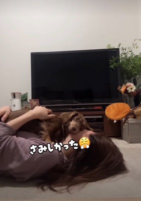 顔の上に乗る犬3