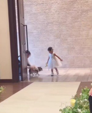 「一緒に行こう！」