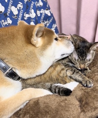 「ねぇねぇー」