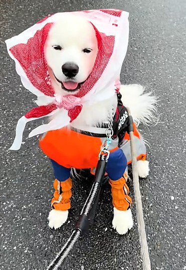 「素敵な雨の日コーデでしょ？」