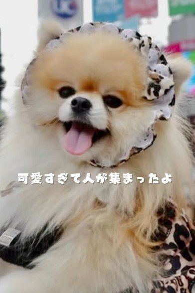 可愛すぎて大人気♡