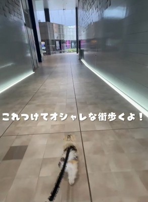おしゃれして渋谷へ