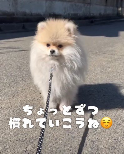 これから慣れて行こう