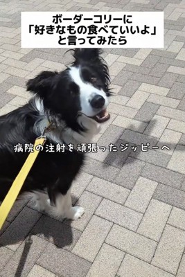 パパ「好きなもの食べていいよ」