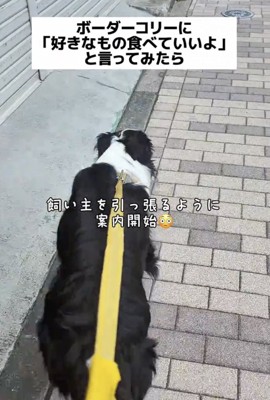 ズンズン歩き始めます