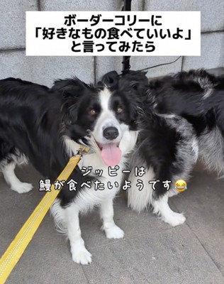 「鰻、お願いします！」