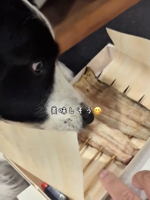 思わずペロペロ