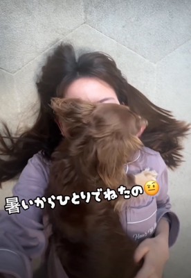 顔の上に乗る犬4