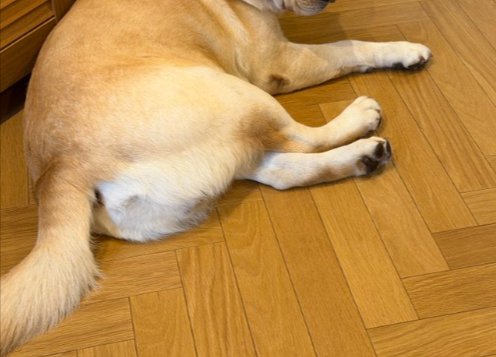 ラブ