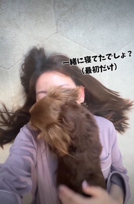 背中を撫でてもらう犬