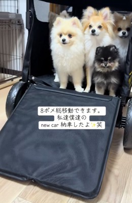 外出用の大きなカート