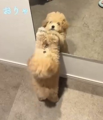 両手でパンチ