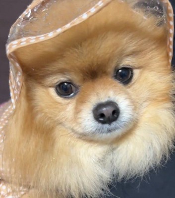 怒りの表情も可愛い♡