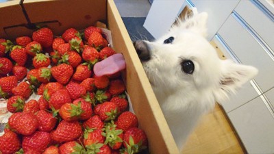 衝撃