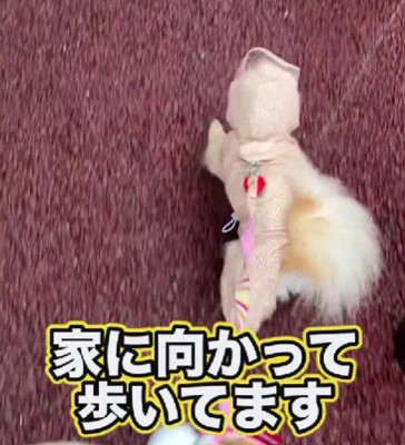 「もう帰る！」