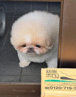 「寝ている間に終わってしまった」
