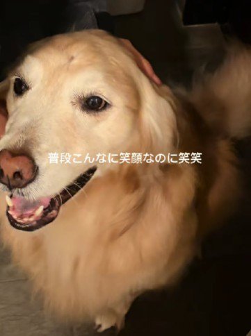 優しい姿にほっこり