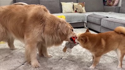 「返さないとダメだよ！！」