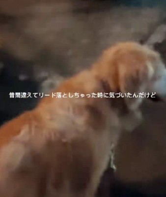 リードを落としてしまったら…
