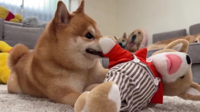 「まだダメ！」