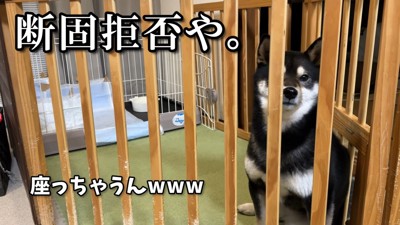 「ここでは嫌」と断固拒否