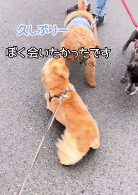 喜び大爆発！