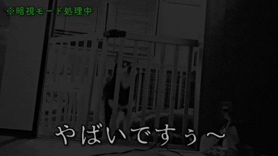 午前4時、すみすみちゃんの鳴き声が…