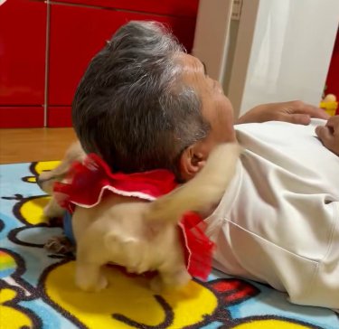 負けられない