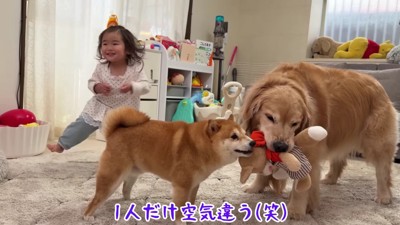 ひとりだけ空気感が…