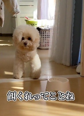 「期待した私が悪かった…」