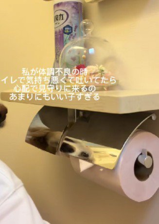 トイレで呻いていると…