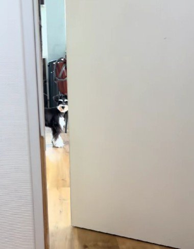 見つめていたのはグラフちゃん