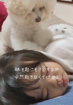 なかなか起きないと…